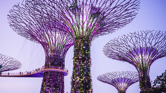 Gardens By The Bay Singapore