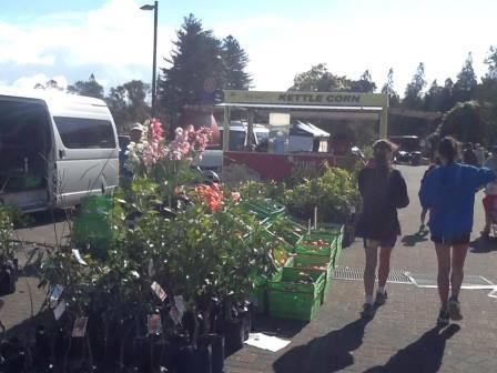 Saturday market Kuirau park