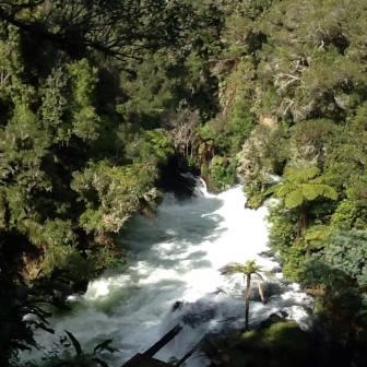 Okere Falls Scenic Reserve