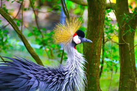 Dresden Zoo