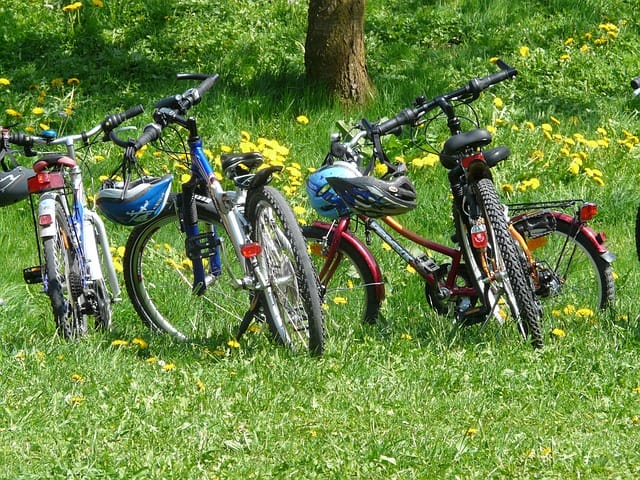 bike tour Spreewald