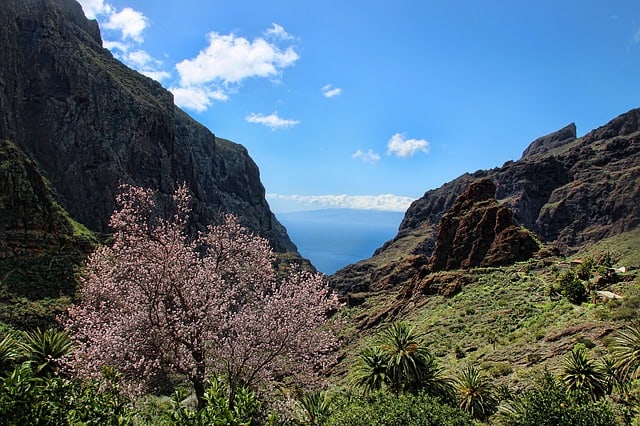 Tenerife with kids