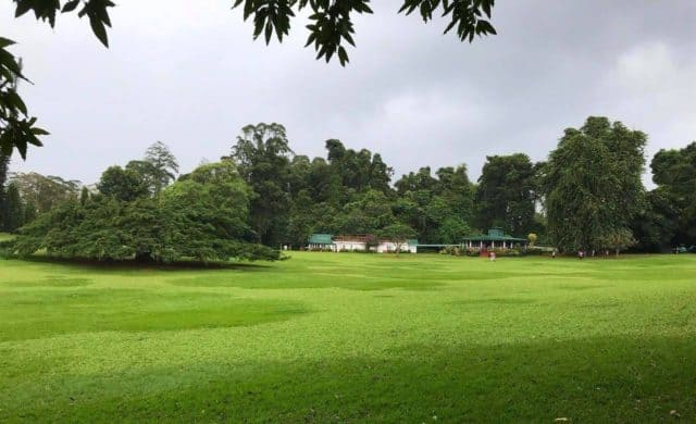 Royal Botanical Garden Kandy