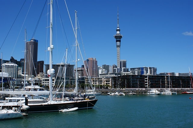 auckland city view