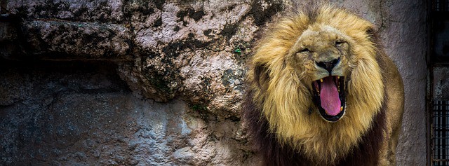 Barcelona zoo