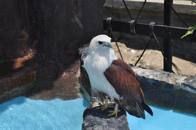 manila ocean park